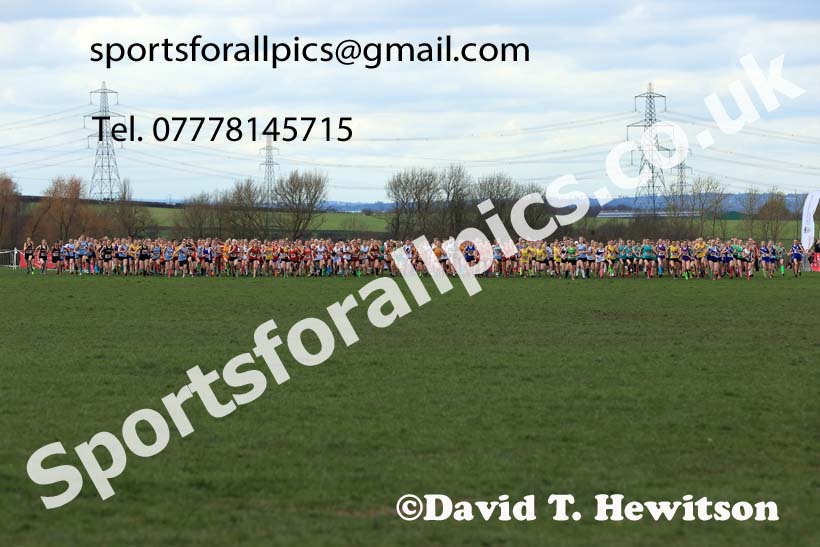 Junior Girls 2024 English Schools Cross Country Champs., Pontefract, March 16th.  Photo: David T. Hewitson/Sports for All Pics